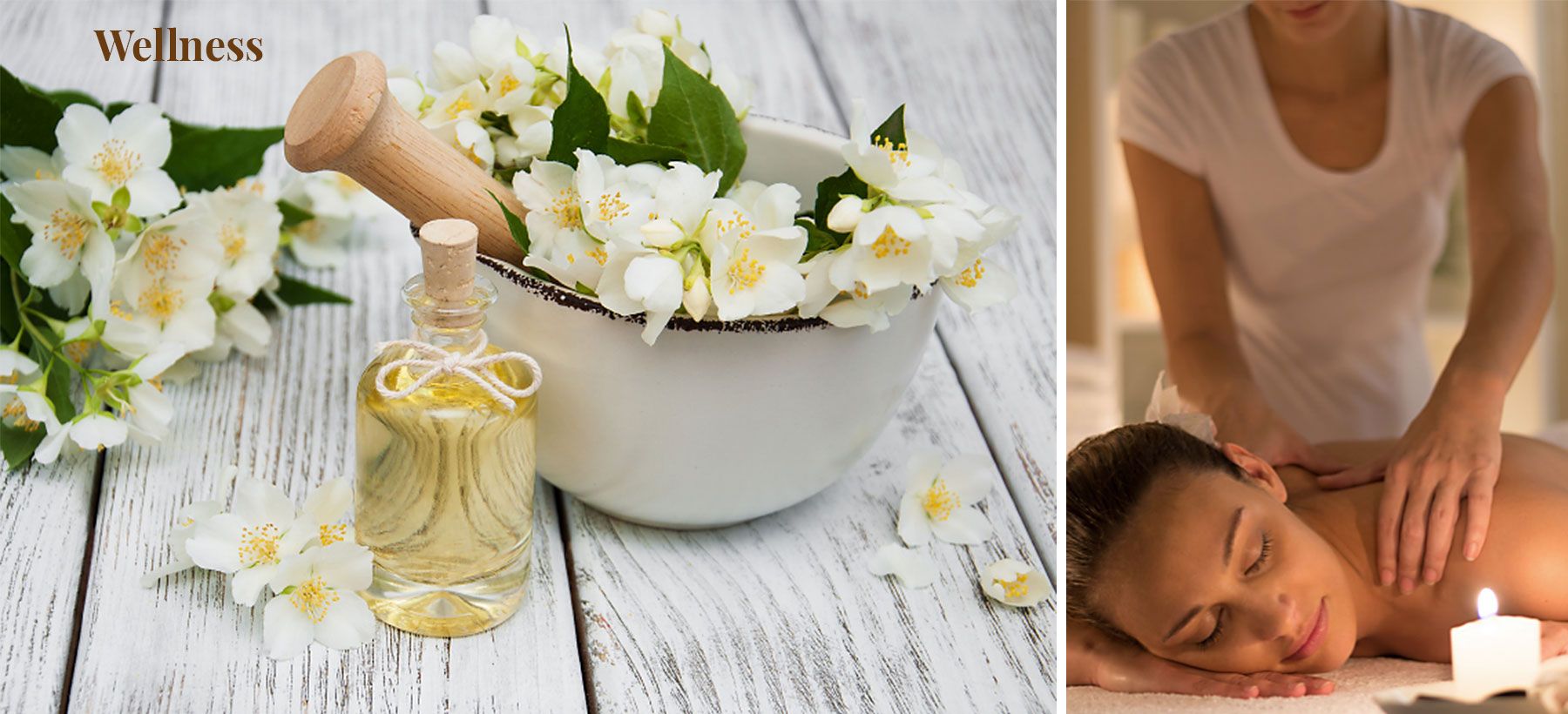 canva-beauty56_1800x820_wellness